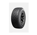 Легкогрузовые шины TERCELO 215/65 R16C WZT705 — купить в Казахстане на сайте AltraAuto