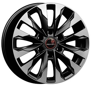 Вектор R258 Вектор R258 — купить в Казахстане на сайте AltraAuto